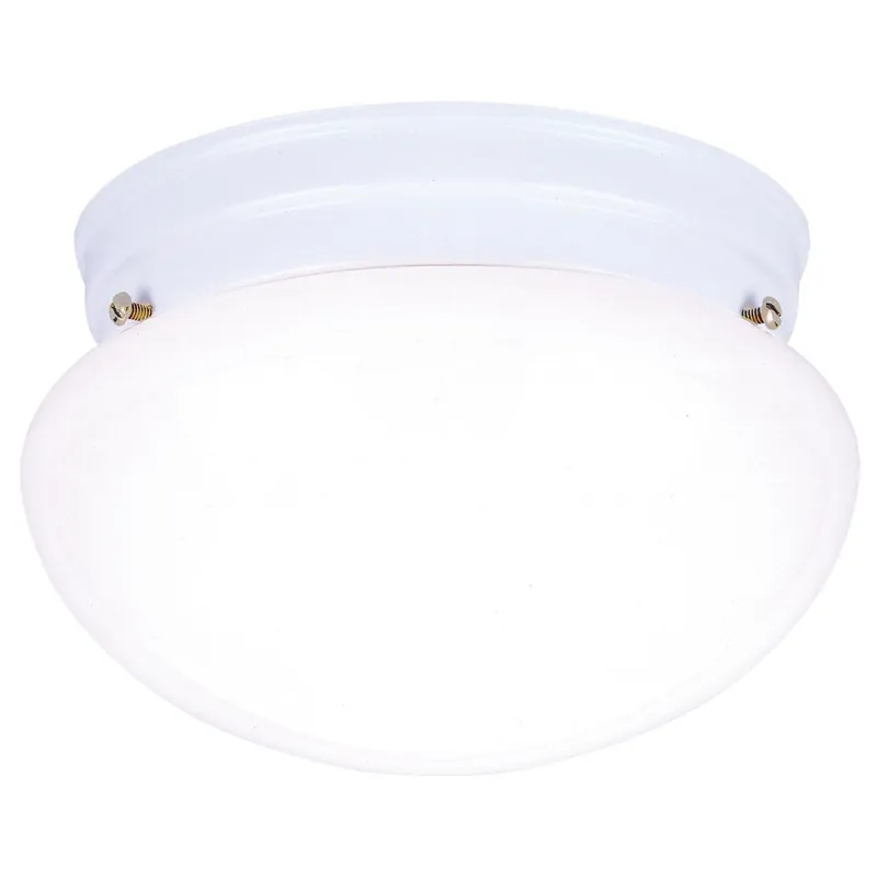 8-Inch Ceiling Light Fixture