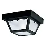 Westinghouse Outdoor Ceiling Fixture Model 66822 For Exterior Lighting