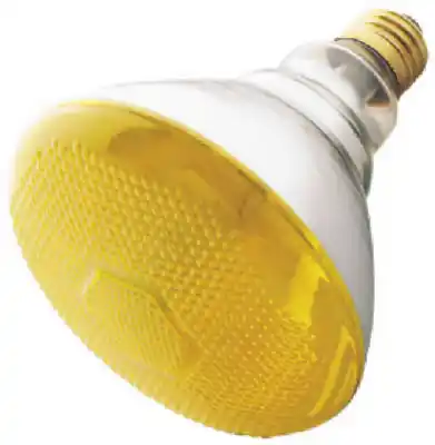 Westinghouse Bug Light 100 W E26 Floodlight Incandescent Bulb E26 (Medium) Yellow 1 Pk