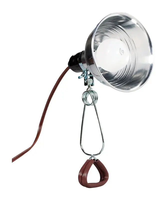 6.5 In. 60 Watt Indoor Clamp Lamp With Aluminum Cage
