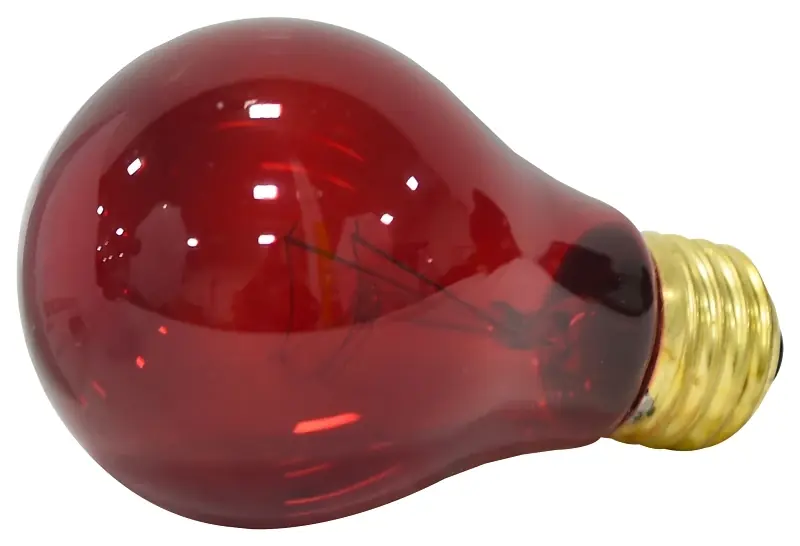 11712 25w Transparent Red Light Bulb, 120v, 3000 Hour Life