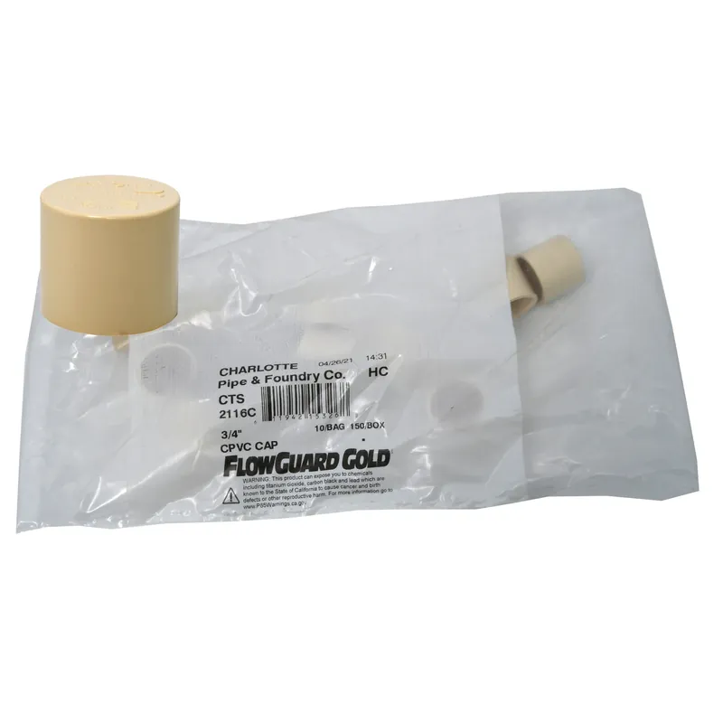 Charlotte Pipe FlowGuard 3/4 In. Slip CPVC Drain Cap 10 Pk