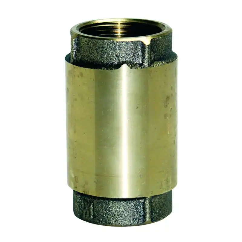 Check Valve, Brass, 2-In.