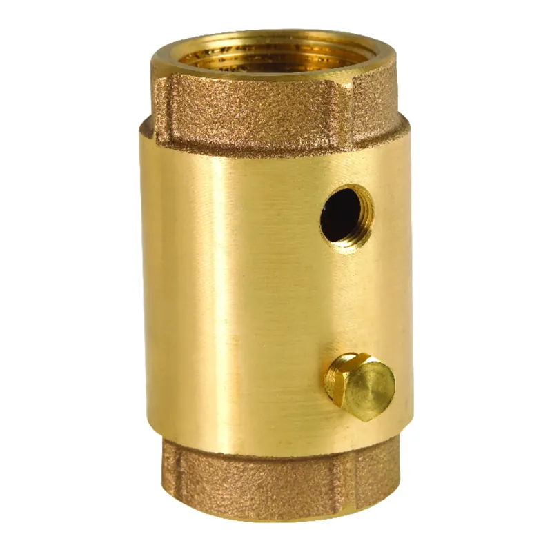 1-1/4 In. Fnpt Red Brass Spring Loaded Check Valve Cvb-5tlf
