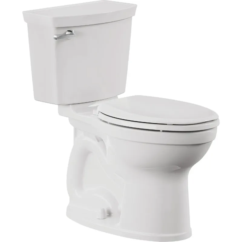 Champion Toilet To Go + Seat, White, Elongated Bowl, 1.6 GPF, 12 In. Rough-in