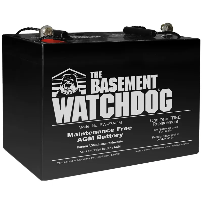 Sump Pump AGM Standby Battery, Maintenance-Free