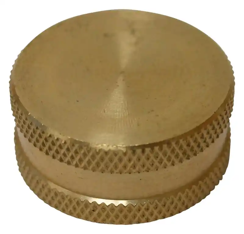 Plumb Pak Brass 3/4 In. D X 3/4 In. D Hose Cap With Washer 1 Pk