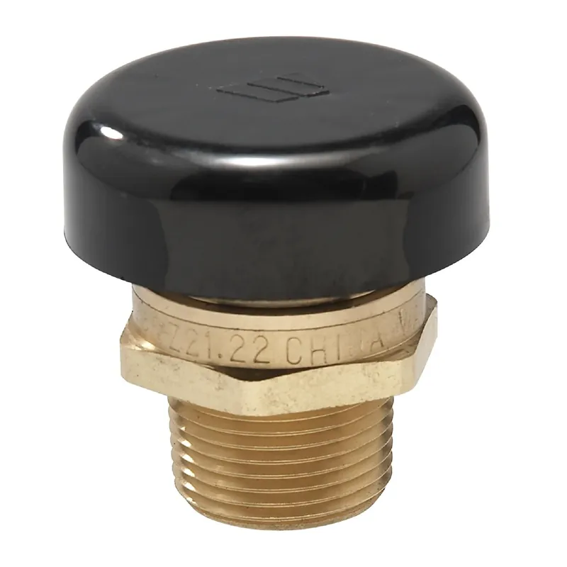 Water Service Vacuum Relief Valve, Lead-Free, 1/2 In.
