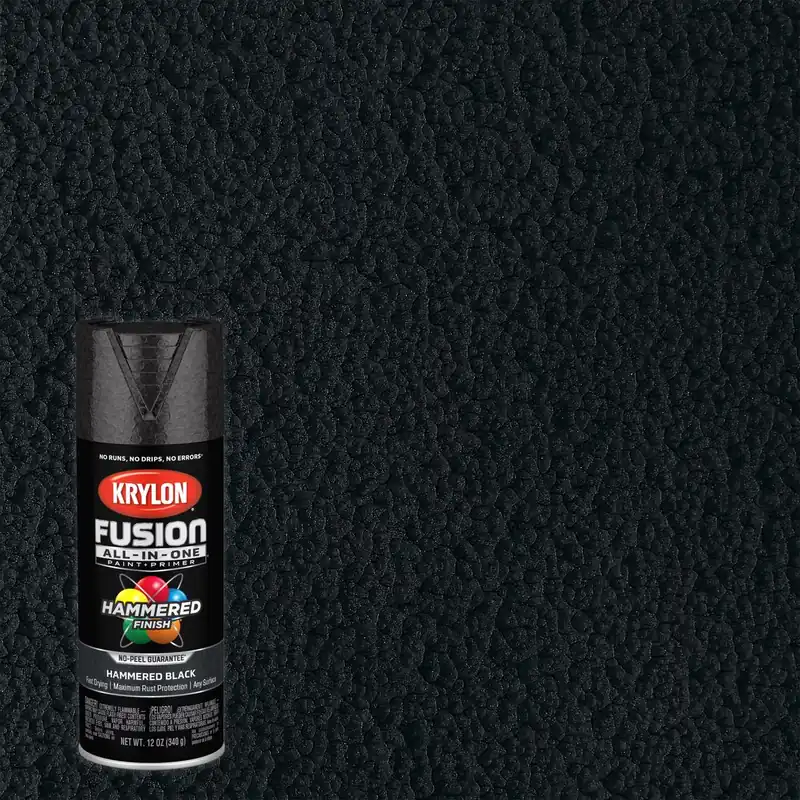 Fusion All-In-One Spray Paint + Primer, Hammered Black, 12-oz.