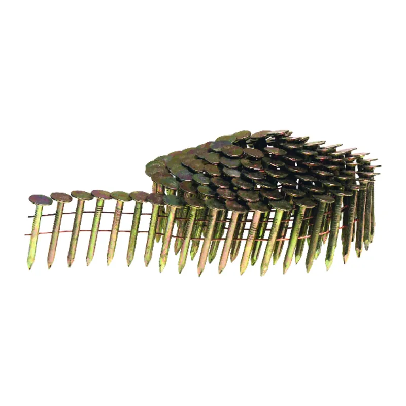 Senco 1-1/4 In. L X 16 Ga. Angled Coil Galvanized Roofing Nails 15 Deg 7200 Pk