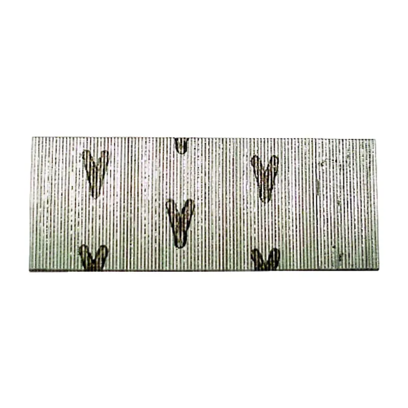 Senco 23 Ga. Smooth Shank Straight Strip Micro Pins 1 In. L X 0.03 In. Dia. 2,600 Pk
