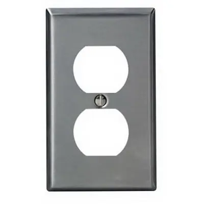 1-Gang Standard Size Stainless Steel Wall Plate And 1-Duplex Receptacle In Stainless Steel