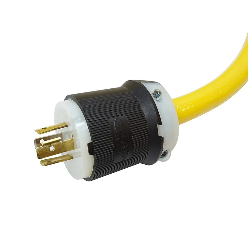 25 Ft. 10/4 Heavy-duty Generator Cord With Twist-to-lock Plugs