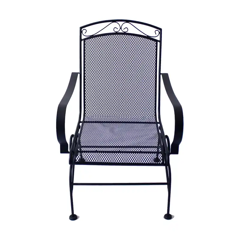 Winston Black Steel Frame Spring Dining Chair - Ace21050