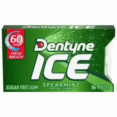 Spearmint Ice Gum, 16 Pc.