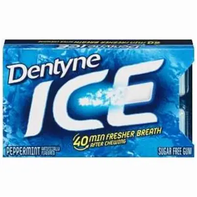 Peppermint Ice Gum, 16 Pc.