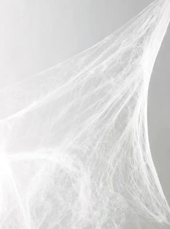 Fun World 18 In. Spider Web Halloween Decor