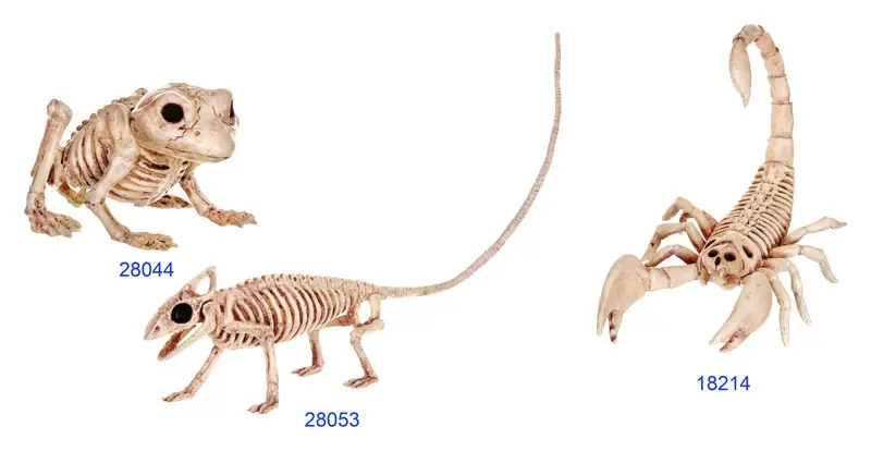 Seasons 6 In. Mini Animal Skeletons Halloween Decor