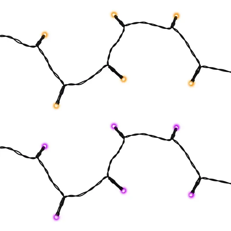 Halloween Orange And Purple 50 Count 1 Inch Led Light String