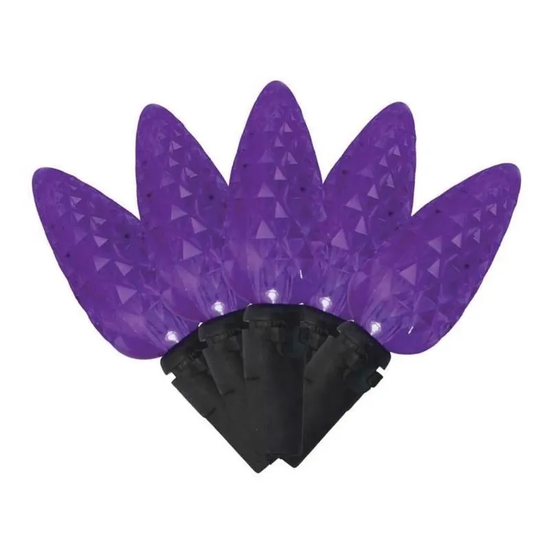 Celebrations Purple Halloween LED String Lights – 100 Anti‑Flicker C6 Bulbs