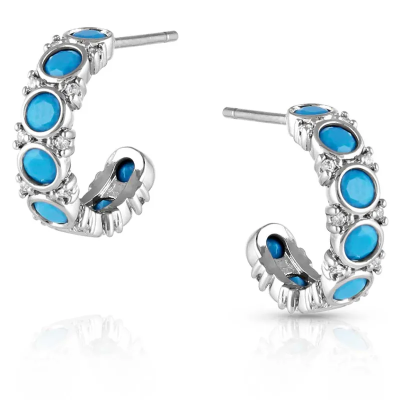 Blue Moon Crystal Earrings With Hypoallergenic Post Back Wires