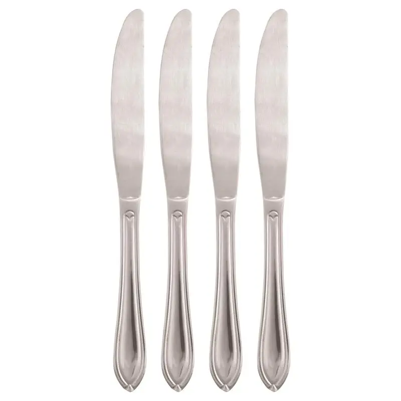 Ginger Silver Stainless Steel Casual Dinner Knife Set 4 Pieces