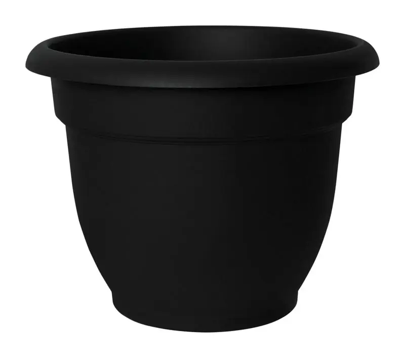Bell Shaped Planter, Black Plastic, 6 In.