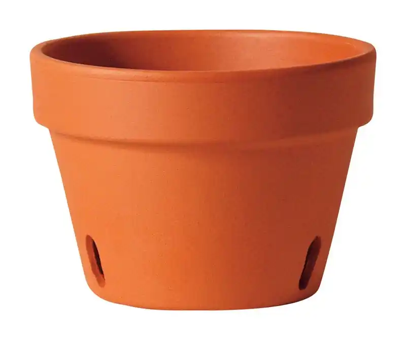 Deroma 5.8 In. H X 8.3 In. W X 8.3 In. D X 8.3 In. D Clay Orchid Pot Terracotta