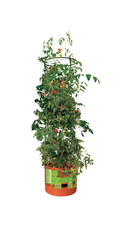 Hydrofarm 12 In. H X 14 In. W Green Plastic Tomato Cage