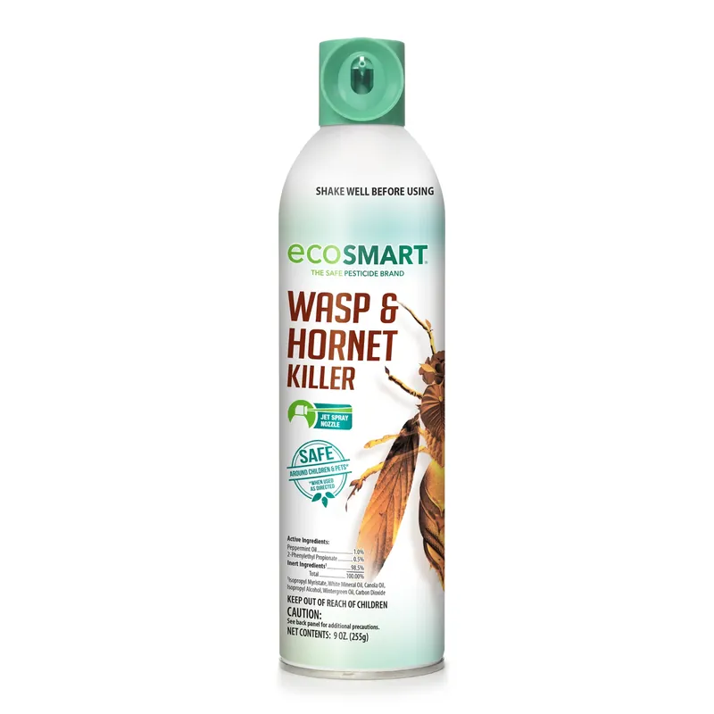 Wasp & Hornet Killer, 9 Oz.