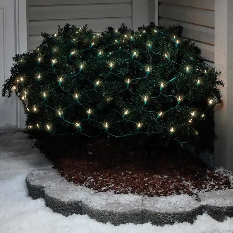 Led Mini Warm White 100 Count Net Christmas Lights 6 Ft.