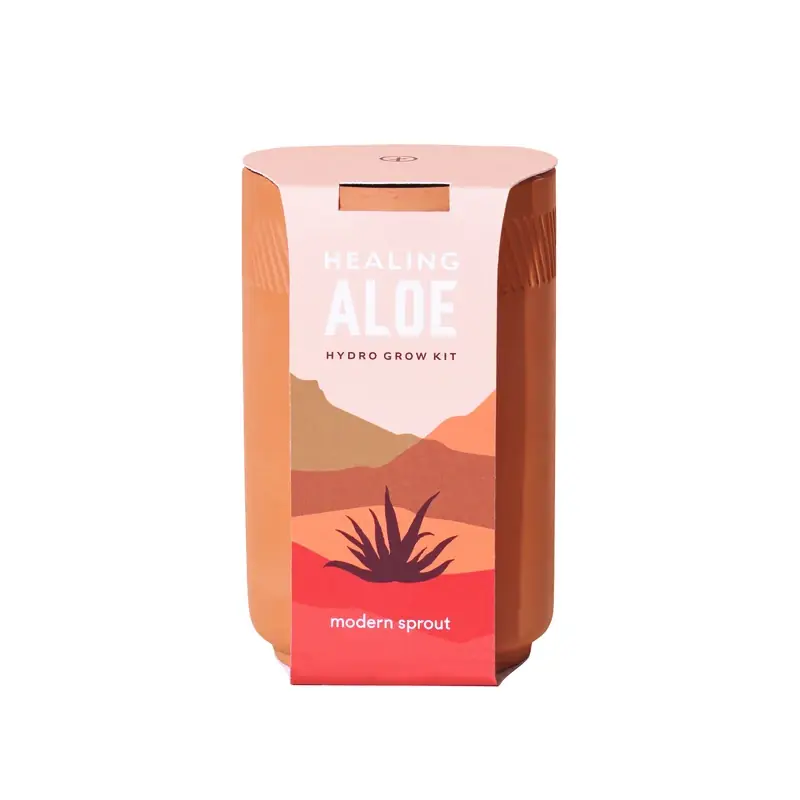 Healing Aloe Succulent Seed Starter Kit - All Season Planting