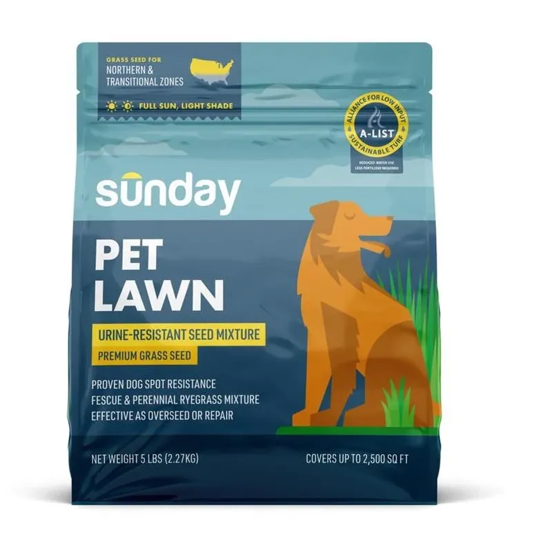 Sunday All‑Grass Pet Spot Repair Seed – 5 lb Bag For Full Sun & Light Shade, Drought‑Resistant