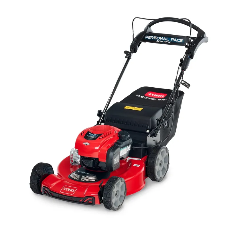 Recycler 22 In. 150 Cc Gas Self-propelled Lawn Mower With Bagger