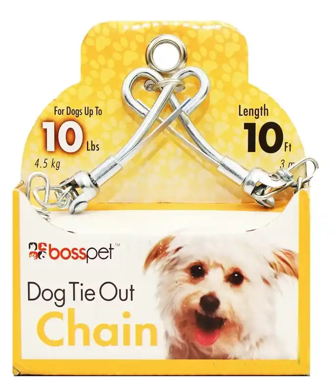 Silver Swivel Steel Dog Tie Out Chain 10 Feet For Small Dogs
