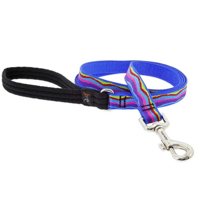 Original Designs Multicolored Ripple Creek Nylon Dog Leash 3/4" X 6‘