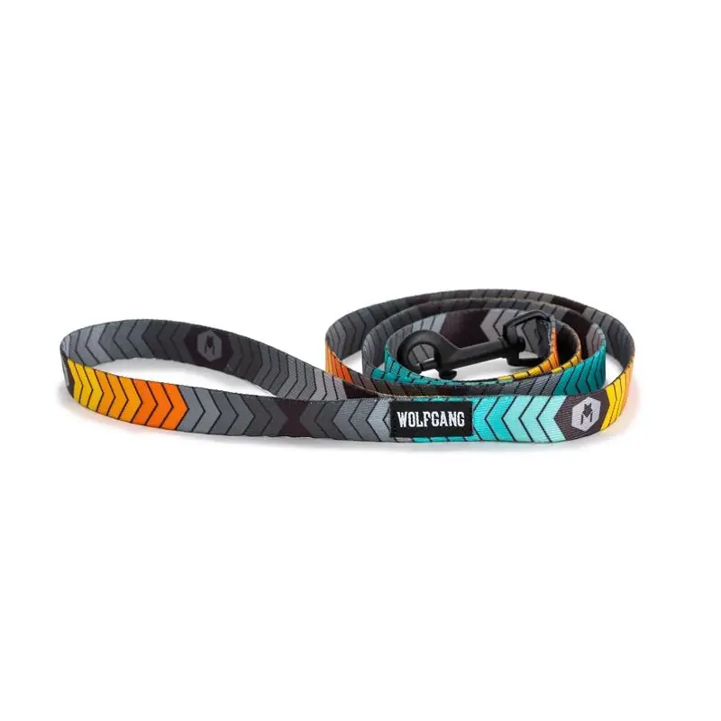 Wolfgang Multicolored Chevtech Polyester Dog Leash Small/medium 4 Feet