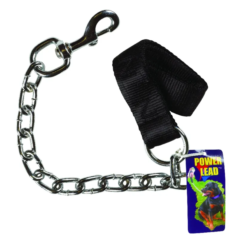 Power Lead Silver Chain Lead Steel Dog Leash Small/medium 24 In.