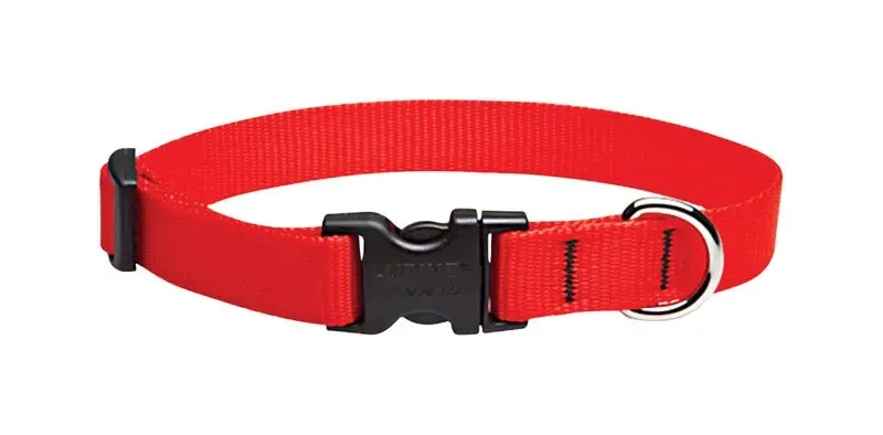 Lupine Pet Basic Solids Red Nylon Adjustable Dog Collar 13-22 In, 3/4 In Width