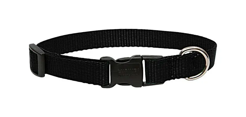Lupine Pet Basic Solids Black Nylon Adjustable Dog Collar 13-22 Inches