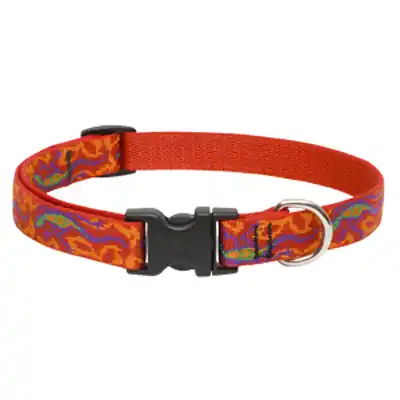Original Designs Multicolor Go Go Gecko Nylon Dog Adjustable Collar 9-14 Inches