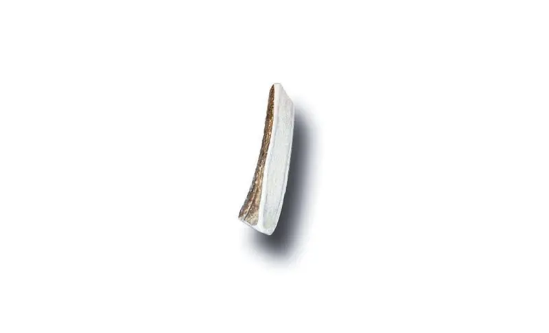 Bucky Bites Medium/Large Adult Antler Antler 4 In. L 1 Pk