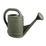 NS 2GAL WATRING CAN DSPL