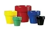 Jungle Electric Pot, 5.5-inch, Assorted Colors