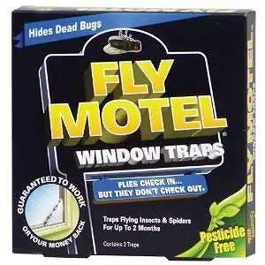 FLY MOTEL WINDOW TRAPS