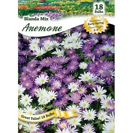 Ns Anemone Blanda West Flower Plant - Vibrant Colorful Blooms