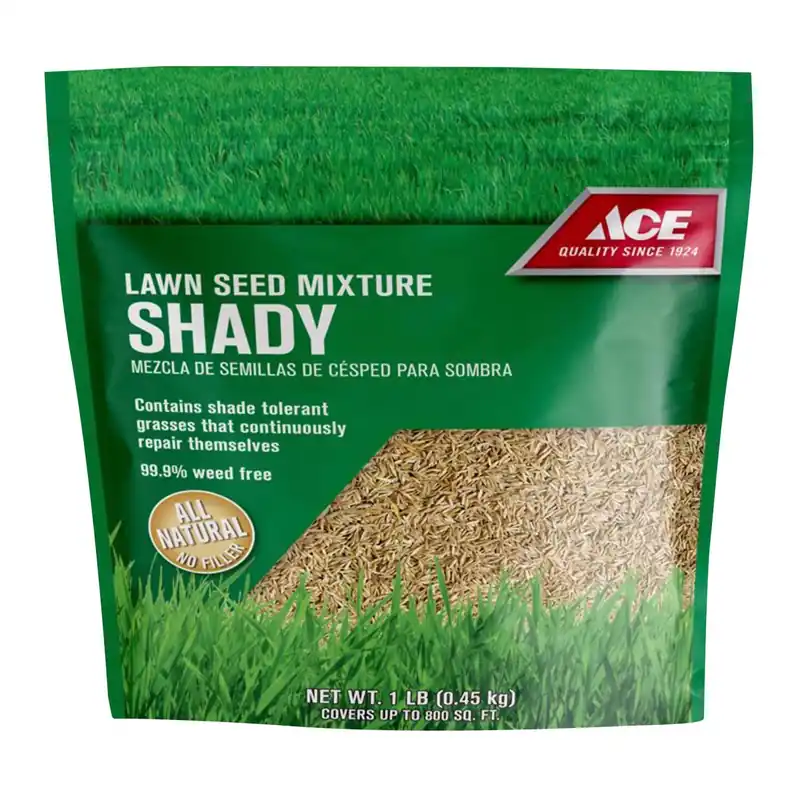 Green Turf Mixed Full Shade Grass Seed 1 Lb - Ideal For Shady Areas