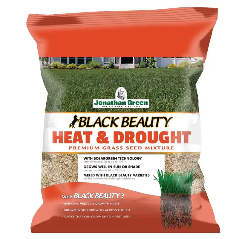 Black Beauty Heat & Drought Grass Seed, 3 Lbs.