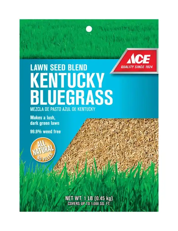 Kentucky Bluegrass Full Sun Lawn Seed Blend 1 Lb - Self-repairing, Dark Green Color