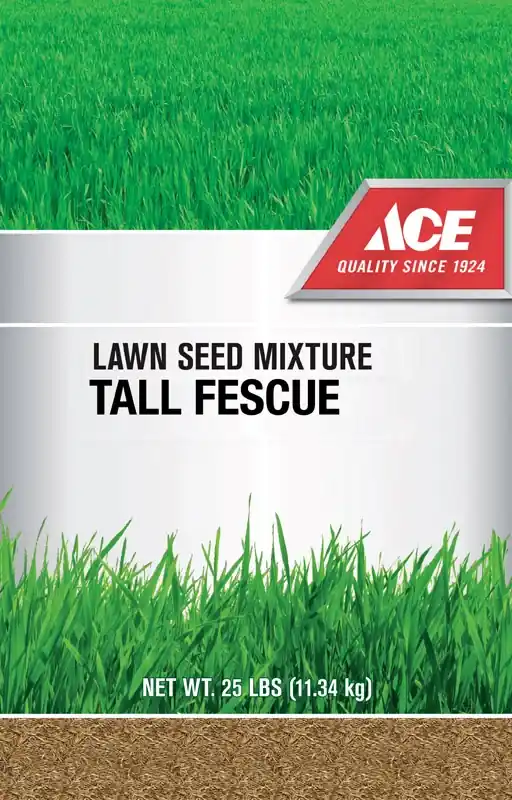 Tall Fescue Grass Seed Blend 25 Lb - Drought Tolerant For Sun Or Shade